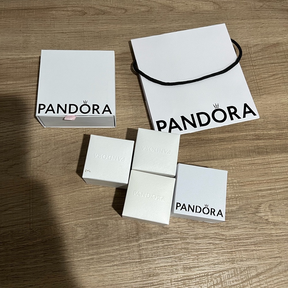 Pandora Charm boxes and bag